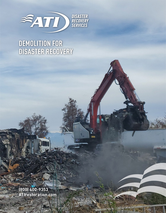 Demolition For Disaster Recovery whitepaper