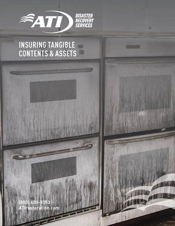 Insuring Tangible Contents and Assets whitepaper