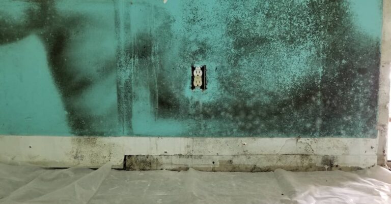 Mold after water damage | ATI Restoration