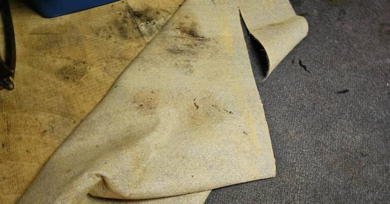 Water-damaged carpet and backing | ATI Restoration