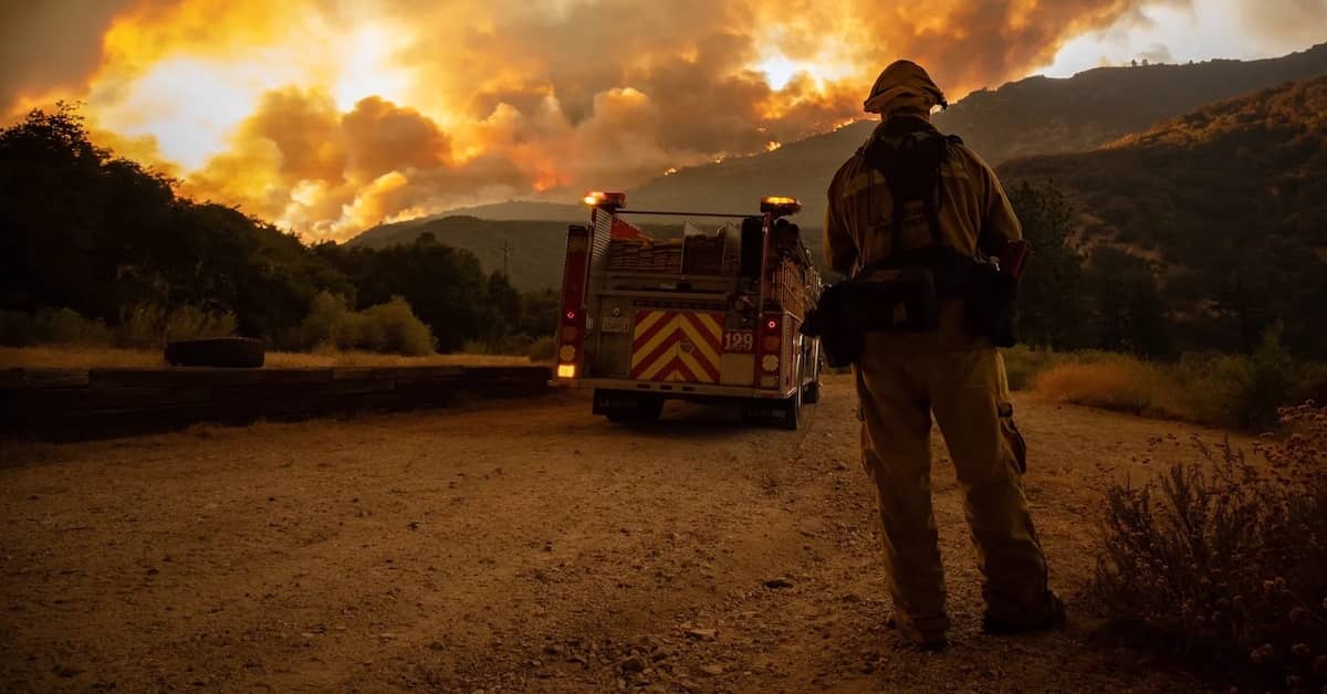 Wildfire Recovery Update: What’s Really Happening on the Ground