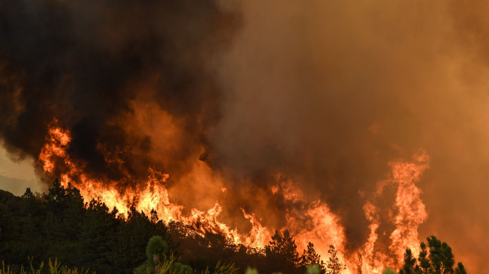 Wildfires