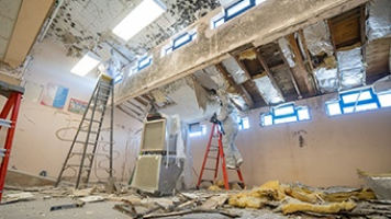Mold & Environmental