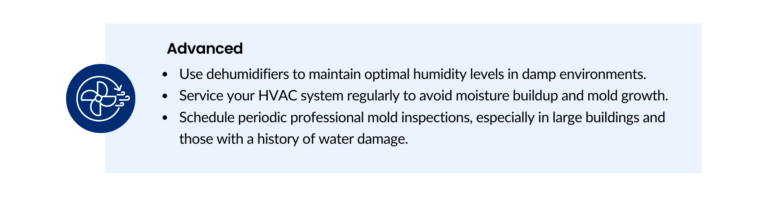 Advanced mold prevention tips: use dehumidifiers, service your HVAC system regularly, and schedule professional mold inspections, especially for large buildings or those with water damage history.